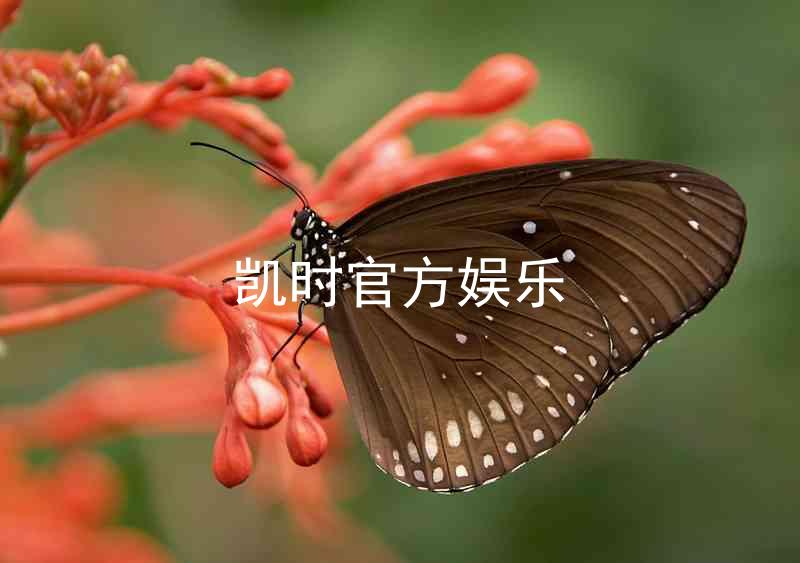 凯时官方娱乐