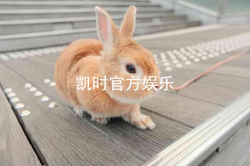 凯时官方娱乐