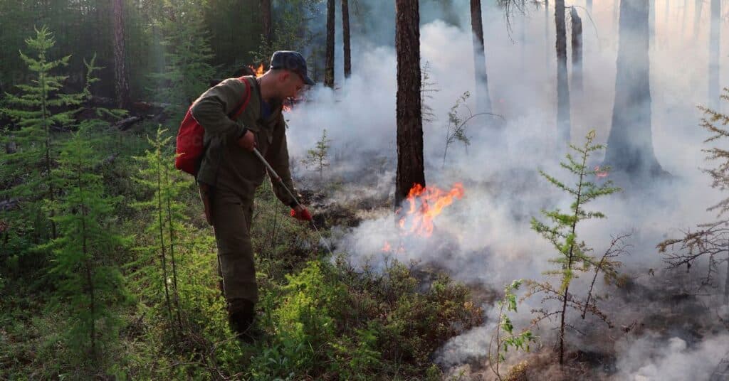 Recognizing Bluefire Wilderness Abuse