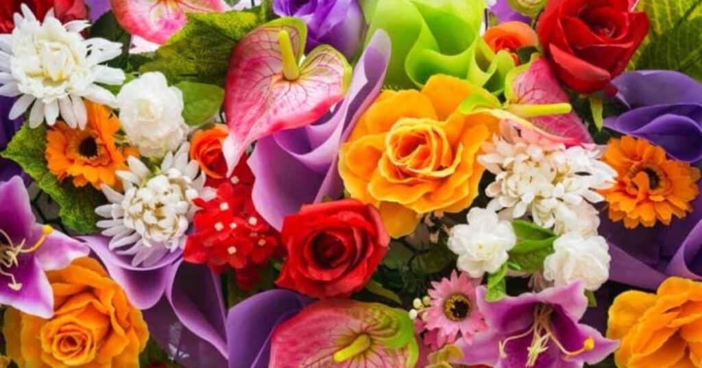 Varieties of Stunning Flowers